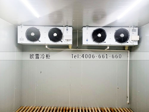 医药冷藏冷库工程案例ag点top.jpg
