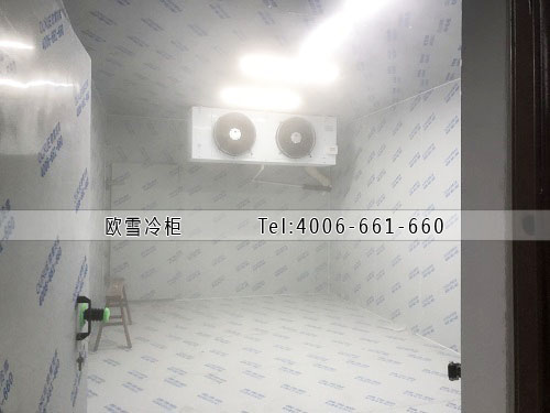 建个冷冻库需要多少钱.jpg