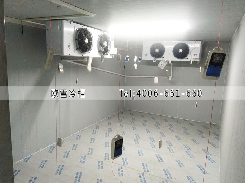 建个小型的医药冷库需要多少钱.jpg