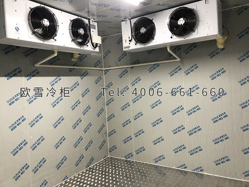 冷库工程案例ag点top.jpg