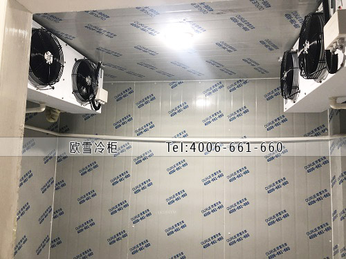 小型医药冷库工程案例ag点top.jpg
