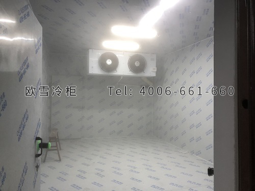小型速冻库安装.jpg