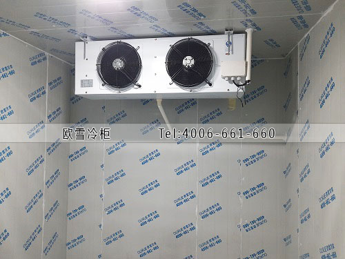 水果保鲜冷库工程案例ag点top.jpg