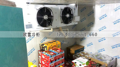 水果保鲜冷库工程案例ag点top.jpg