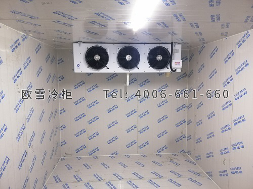 保鲜冷库工程案例ag点top多少钱一平方.jpg