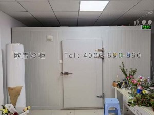 深圳市龙岗区坂田百花园鲜花保鲜冷库工程案例ag点top