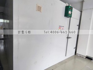 重庆40立方的小型蔬菜保鲜冷库工程案例ag点top案例