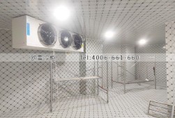 冷库建设多少钱一平方？湖南衡阳食品冷冻冷库工程案例ag点top