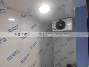 湖南长沙酒吧小型酒水冷藏冷库工程案例ag点top案例