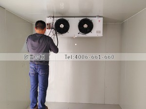 湖南长沙25立方的水果保鲜冷库工程案例ag点top案例