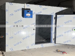 深圳市宝安区35立方的工业冷库工程案例ag点top案例