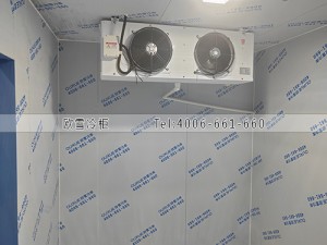 湖南永州小型水果保鲜冷库工程案例ag点top案例