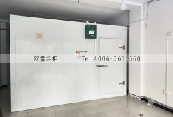冷库设计-重庆40立方的小型蔬菜保鲜冷库工程案例ag点top
