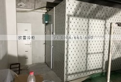 水果冷库-湖北咸宁小型保鲜冷库工程案例ag点top