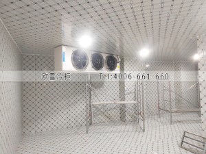 湖南衡阳农副产品批发市场冷冻冷库工程案例ag点top案例