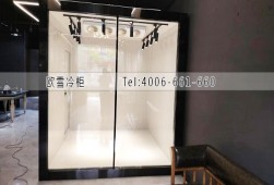 鲜花冷库-浙江宁波花店小型保鲜冷库工程案例ag点top