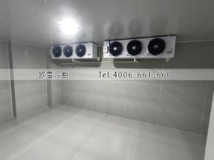 福建医院两个小型疫苗冷藏冷库工程案例ag点top案例