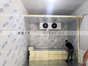 湖南省株洲市68立方的冷藏冷库工程安装